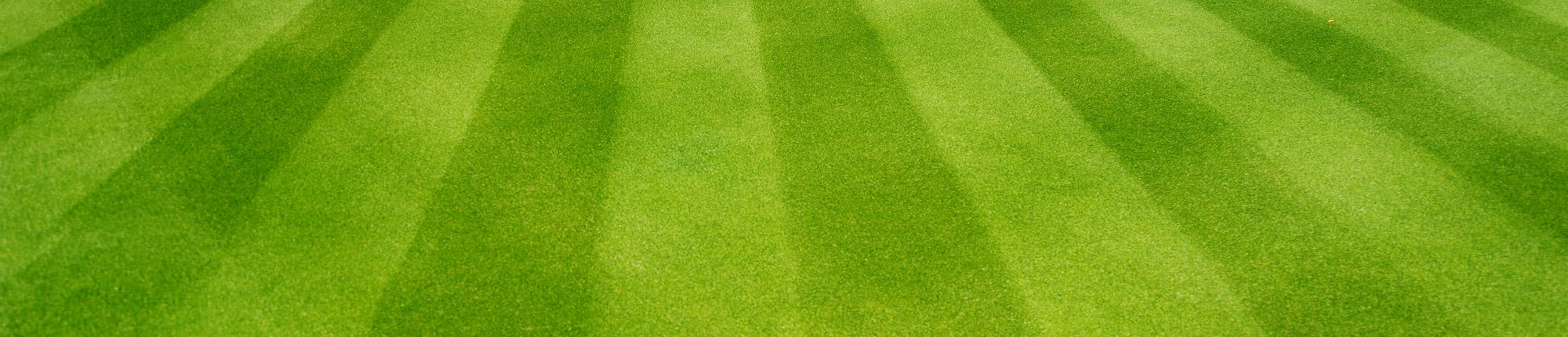 viano-lawn-spreader-settings.jpg