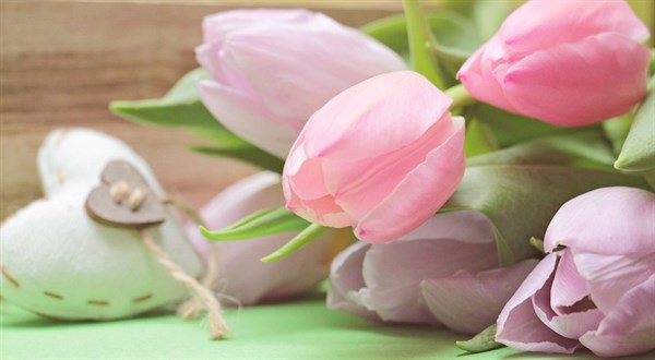 Mother-Day-Floristry-Workshops-2019-HEADER.jpg