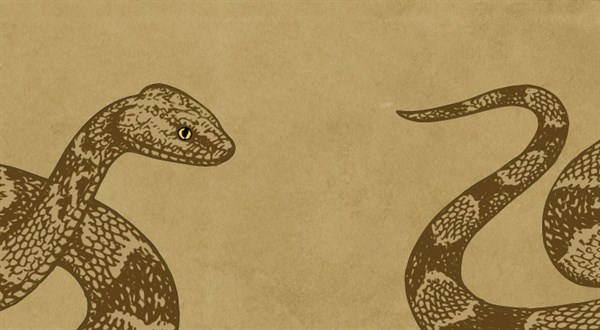Reptiles_Event_April_BlogHeader_800x440_2018.jpg