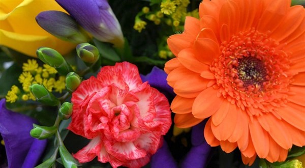 bagshot-budding-little-florists-terracotta-flower-arrangement-february2019-BLOG.jpg