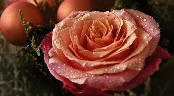 more-floral-christmas-workshops-2017-bagshot.jpg