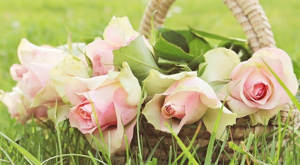 mothers-day-floral-workshops-2018-header.jpg