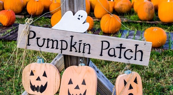 pukin-patch-131017-v2.jpg