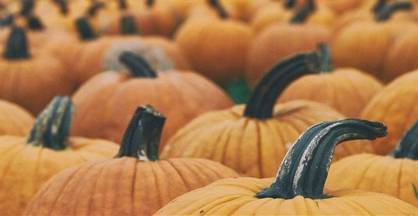 time_to_carve_some_pumpkins.jpg