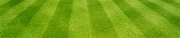 viano-lawn-spreader-settings.jpg