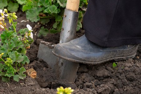 image of a person digging soil with a shovel