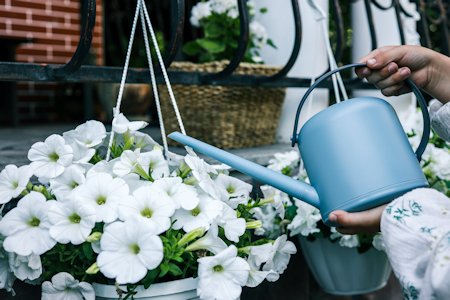 image of a pair of hands watering a white hanging basket