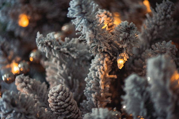 Very close up image of an artificial Christmas tree coated in fake snow