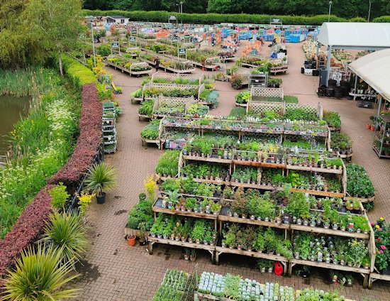 Overhead image showing the outdoor plant area at Longacres Bybrook Barn