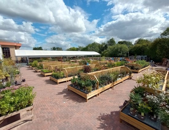 Image of the outdoor plant area at Longacres Chelmsford