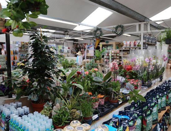 Image of the inside of the Longacres Chobham Shop