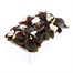 Begonia Semp White Bronze Leaf 12 Pack Boxed BeddingAlternative Image4