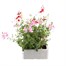 Diascia Collection 6 Pack Boxed BeddingAlternative Image4