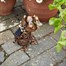 Smart Garden Metal Filigree Dog (1050111) Alternative Image