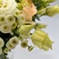 Peach & Cream Handtied Bouquet - DeluxeAlternative Image1