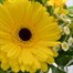 Yellow Handtied Bouquet - DeluxeAlternative Image2