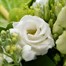 White Handtied Bouquet - DeluxeAlternative Image2