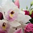 Pink Handtied Bouquet - ClassicAlternative Image1