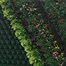 Wonderwall Vertical Garden Plant Pots Alternative Image2