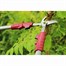 Kent & Stowe Telescopic Handled Bypass Loppers (70100406)Alternative Image2
