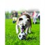 Kong Sport Medium Sports Design Tennis Balls Dog Toy (3 pack) (ABS2)Alternative Image1