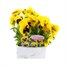 Pansy F1 Yellow With Blotch 6 Pack Boxed Bedding Alternative Image