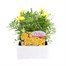 Marigold French Durango Lemon Zest 12 Pack Boxed BeddingAlternative Image1