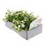Bacopa Collection White 6 Pack Boxed BeddingAlternative Image4