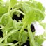 Lettuce Webbs Wonderful 12 Pack Boxed VegetablesAlternative Image1
