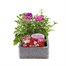 Verbena Mixed 6 Pack Boxed Bedding Alternative Image