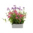 Nemesia Mixed Collection 6 Pack Boxed BeddingAlternative Image2