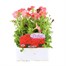 Petunia Picobella Red 6 Pack Boxed BeddingAlternative Image1