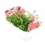 Petunia Picobella Red 6 Pack Boxed BeddingAlternative Image3