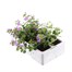 Bacopa Blue 6 Pack Boxed BeddingAlternative Image1