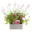 Basket & Patio Collection Pink Jumbo 6 Pack Boxed BeddingAlternative Image2