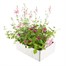 Basket & Patio Collection Pink Jumbo 6 Pack Boxed BeddingAlternative Image3