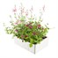 Basket & Patio Collection Pink Jumbo 6 Pack Boxed BeddingAlternative Image4