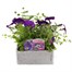 Basket & Patio Collection Blue Jumbo 6 Pack Boxed BeddingAlternative Image1