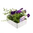 Basket & Patio Collection Blue Jumbo 6 Pack Boxed BeddingAlternative Image3