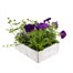 Basket & Patio Collection Blue Jumbo 6 Pack Boxed BeddingAlternative Image4