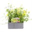 Basket & Patio Collection Yellow Jumbo 6 Pack Boxed BeddingAlternative Image2