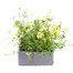Basket & Patio Collection Yellow Jumbo 6 Pack Boxed BeddingAlternative Image3
