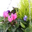 Hanging Seasonal Bedding Feather Moss Cone 12 Inches - Autumn Alternative Image