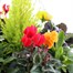 Hanging Seasonal Bedding Designer Wicker Basket 14 Inches - Autumn  Alternative Image