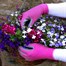 Town and Country Ladies Weed Master Weed and Seed Gloves (TGL219)Alternative Image1