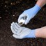 Town and Country Mens Weed Master Weed and Seed Gloves (TGL434)Alternative Image1