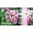 Discontinued - Longacres £5 Gift VoucherAlternative Image1