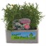 Agyranthemum Molimba White Jumbo 6 Pack Boxed BeddingAlternative Image1