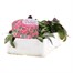 Arabis Spring Charm 6 Pack Boxed Bedding Alternative Image