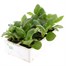 Aster Milady 6 Pack Boxed BeddingAlternative Image3